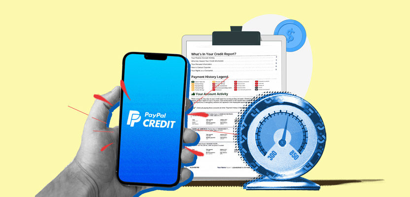 Paypal Credit Score Shed Finance